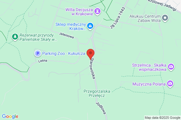 Auto Licznik. Naprawa predkosciomierzy z drogomierzami. Kania Z.