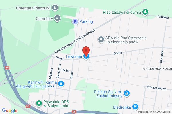Auto Service Grzybek. Naprawy samochodowe