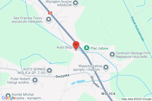 Auto Stop. Stacja kontroli pojazdów