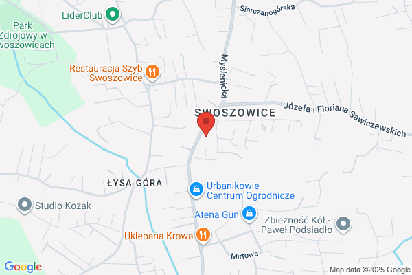 Raj dla Psa i Kota. Grzesik M.