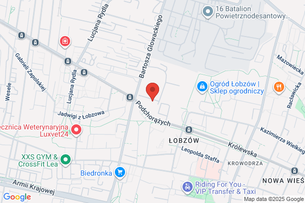 Wawel. Wojskowy Klub Sportowy