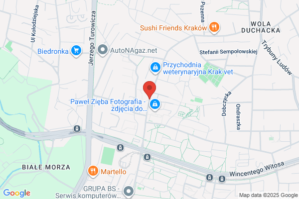 Bono. S.j. Czyczula A., Kozlowska J.