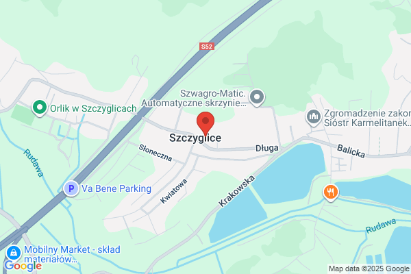 Wozowicz Jan, Dominik. Szkólka krzewów ozdobnych