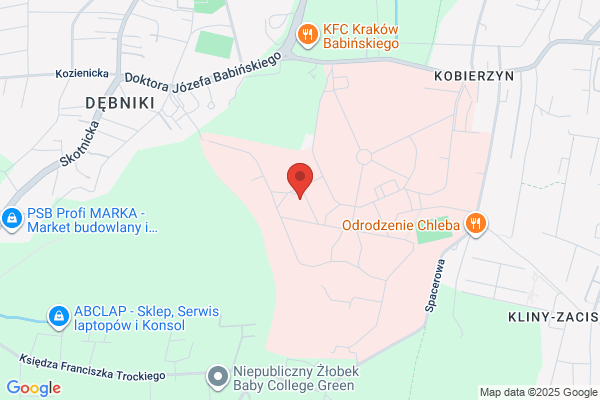 Szpital Specjalistyczny im. dr. J. Babinskiego. SPZOZ