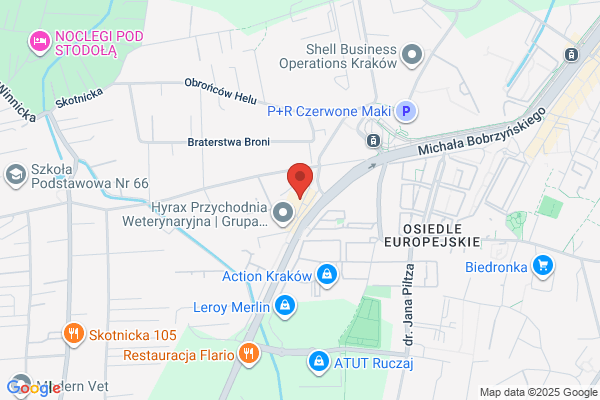 City-Taxi. Uslugi transportowe osobowe i bagazowe