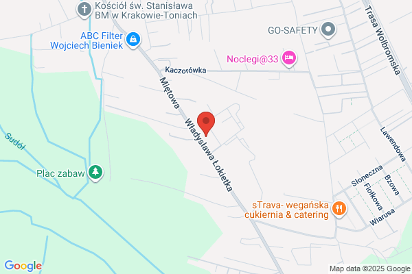 Panorama. FHU. Transport osobowy, wynajem mikrobusów