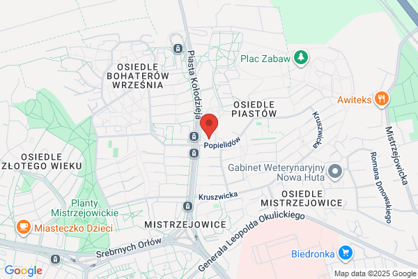 Agencja ubezpieczeniowo - kredytowa