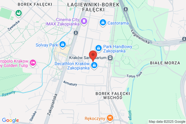 Vision Polska. Generalne przedstawicielstwo