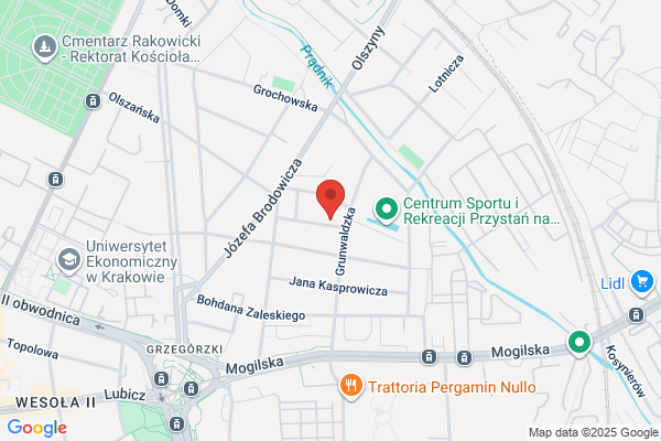 Societas Vistulana. Wydawnictwo Towarzystwa Naukowego