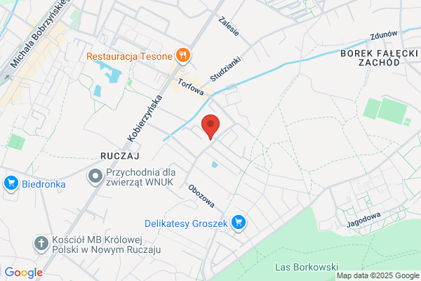 Text. Oficyna wydawnicza