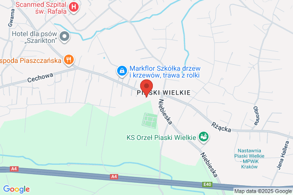 Zgromadzenie zakonne Sióstr Pallotynek