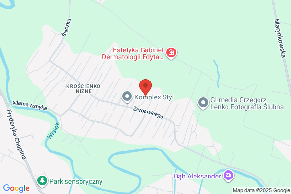 Lassota Roman. Przedsiebiorstwo geodezyjne