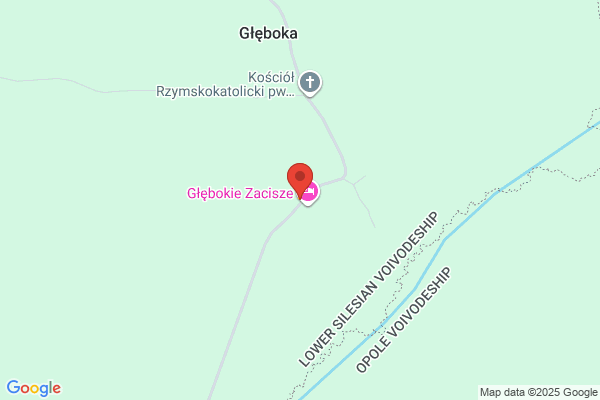 Droga. Blicharczyk Z.