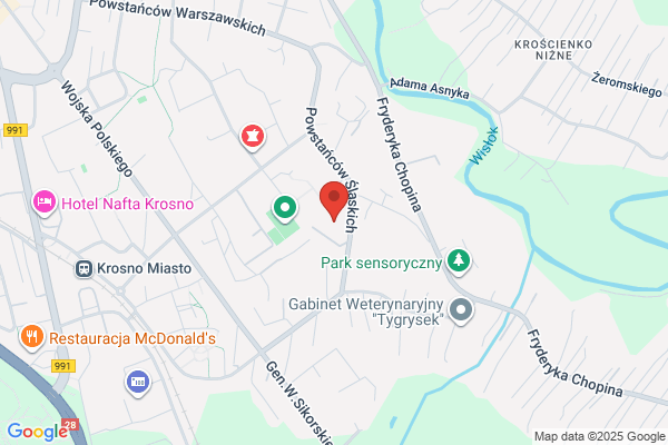 Osrodek Wczesnej Interwencji Polskiego Stowarzyszenia na rzecz Osób z Uposledzeniem Umyslowym