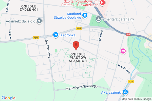 DMS-Komputery. Elektronika i informatyka