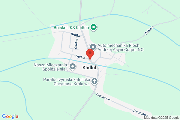 Drewecka Henryka, Tomczak Henryka. Kiosk warzywa - owoce