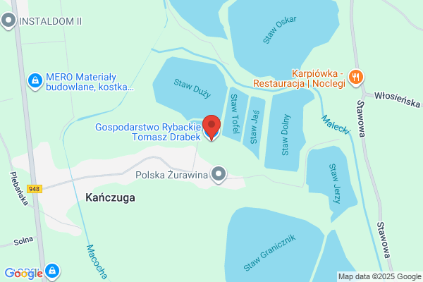 Pstrag. Sklep rybny. Zurawicki D.