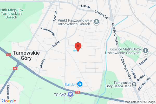 Surowiec K. Sprzedaz kwiatów(