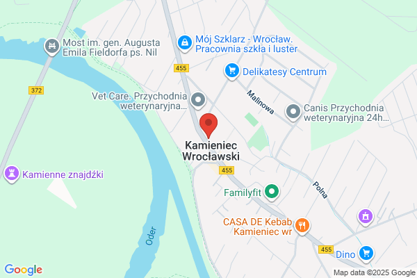 Kamieniecka. Apteka
