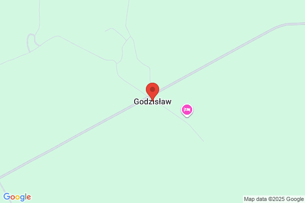 Wieczorkowski Godzislaw, radca prawny