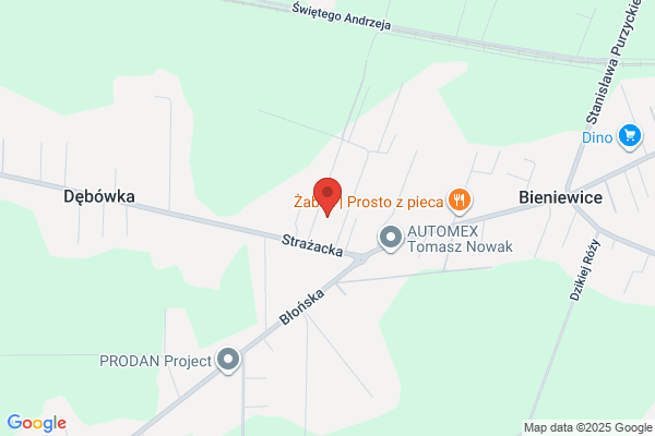 Pienkos Maria. Wulkanizacja