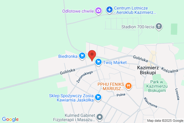 Fikus. Kwiaciarnia