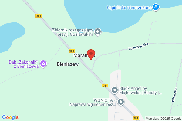 Lesnictwo Bieniszew. Nadlesnictwo Konin