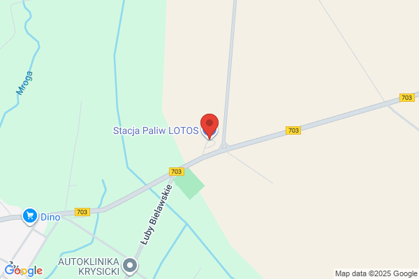 Lotos. Stacja paliw