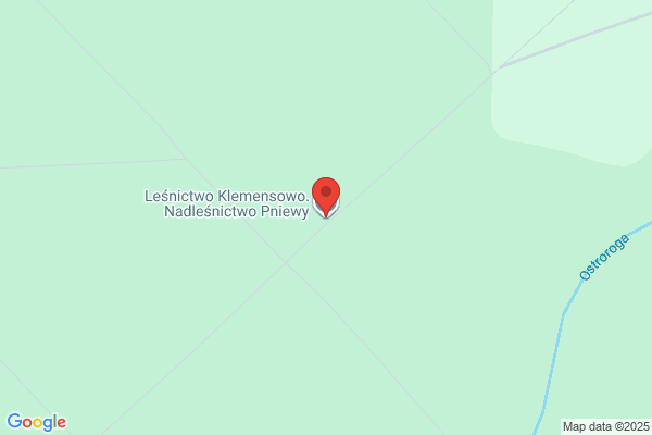 Lesnictwo Klemesowo. Nadlesnictwo Kniewy