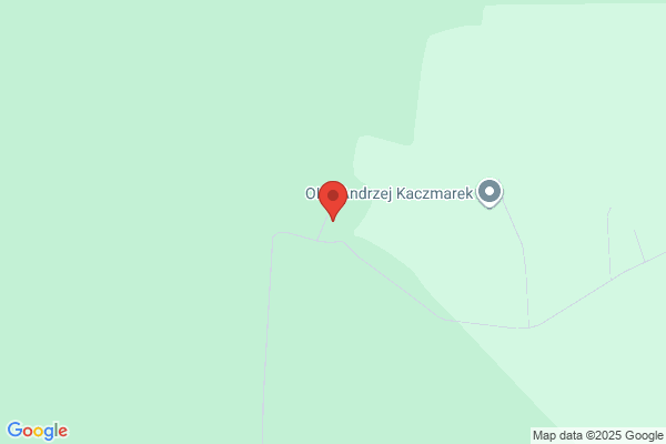 Lesnictwo Ostrolesie. Kniewy