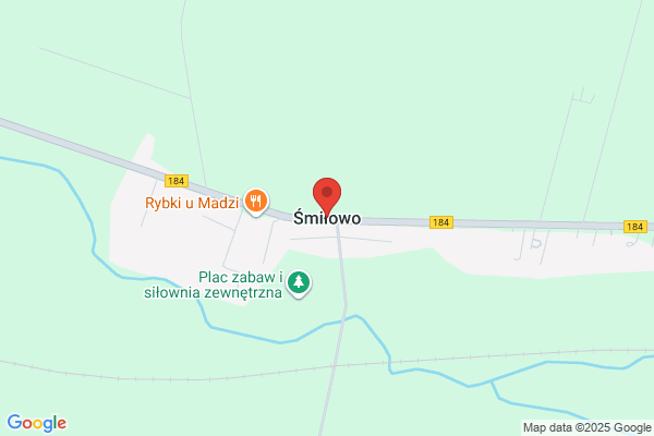 Przybylak Andrzej. Hodowla gesi