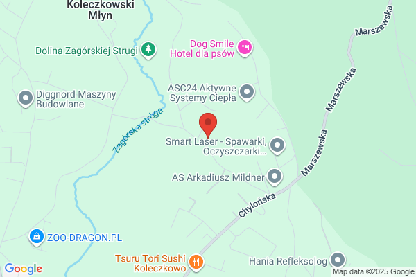 Heland Tadeusz. Ciezarowy transport publiczny