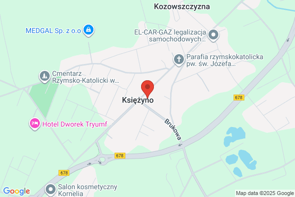 Baginski Dariusz. Przewóz osób, wynajem busów