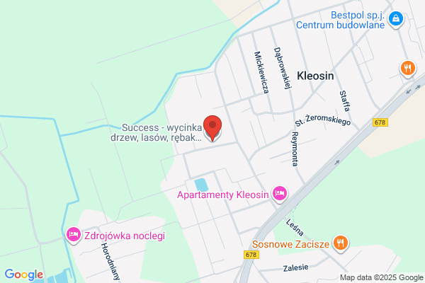 Dabrowski Lech. Zagospodarowanie terenów zielonych