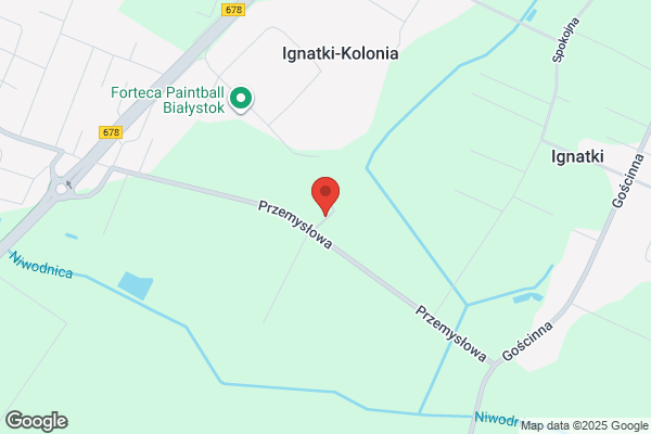 Mavis. Wojciech Matys. Renault Trucks. Samochody ciezarowe