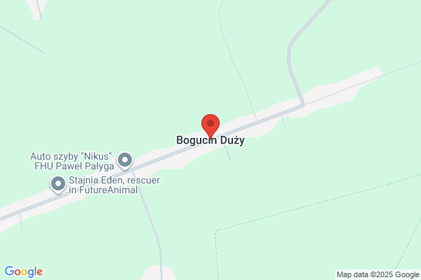 Bu