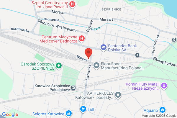 Pólkoszek Katarzyna. Fizjoterapia