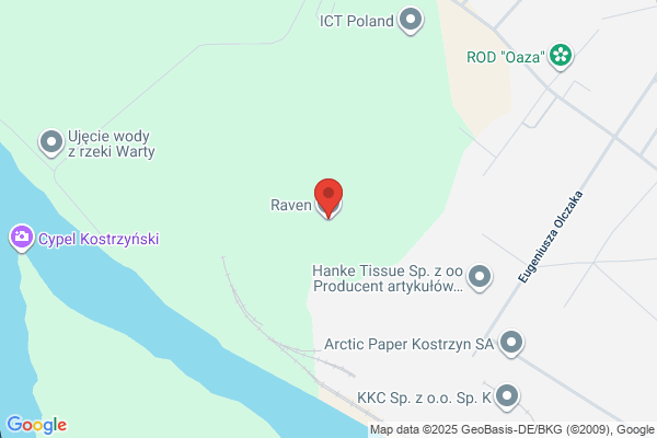 Raven SC. Kaminski A., Matusiak J.