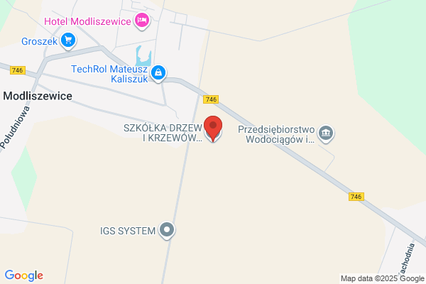 Szkólka drzew i krzewów ozdobnych