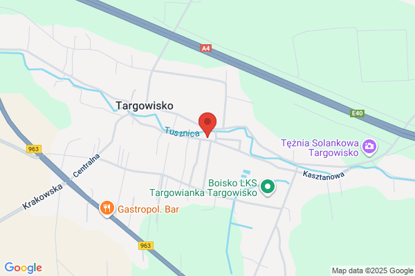 Gajewski Tadeusz. Sklep spozywczy