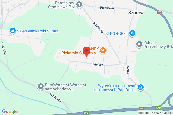 Przedszkole Samorzadowe