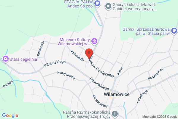 Czerna-Wlasinska Janina, lek. med. Spec. chorób dzieciecych