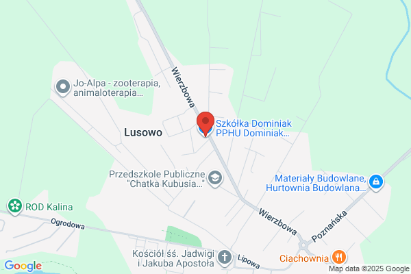 Domzol Antonina. Sprzedaz krzewów ozdobnych