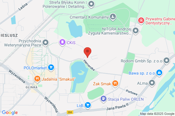 Piecuch Marlena. Konsulting ds. rynków wschodnich