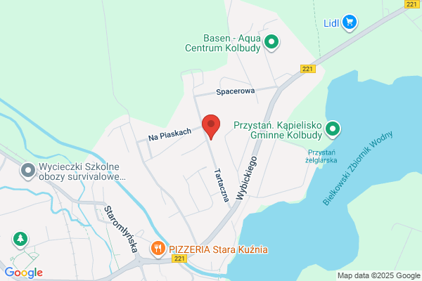 BRD. Przedsiebiorstwo uslugowe. Domanska B.