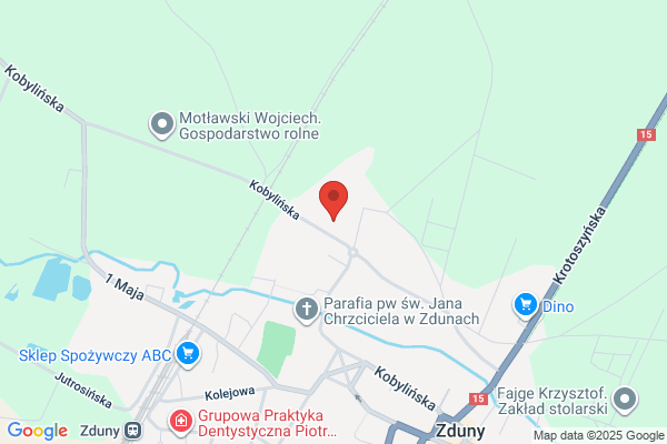 Kruk Rafal. Uslugi transportowe