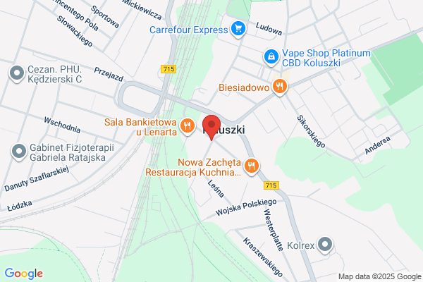 Aliaz. PHU. Skóra S.