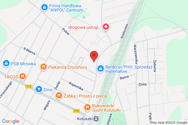 Azalia. Kwiaciarnia. Baczyk K.