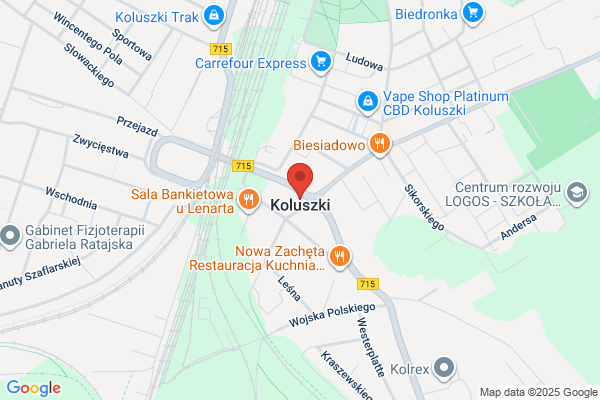 Kaczmarek Iwona. Agencja artystyczna