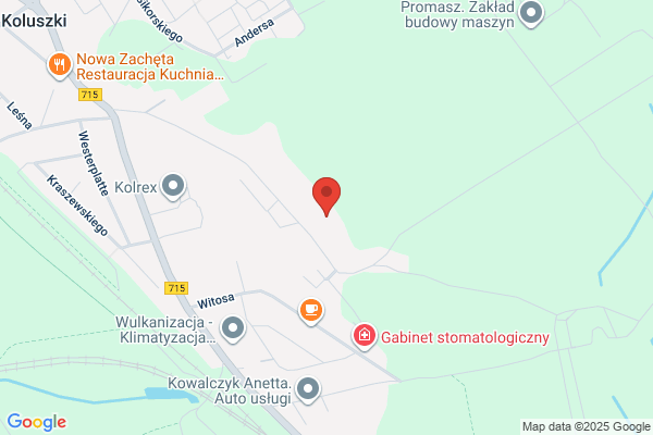 Latek Grzegorz. Uslugi transportowe